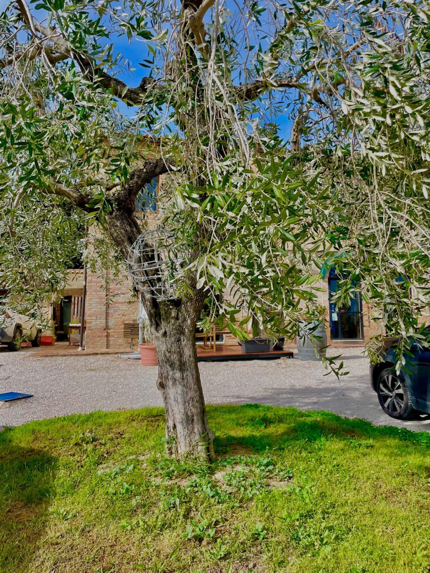Masseria Tattoni - Residenza Di Campagna - Narramondo Villas Bellante Экстерьер фото